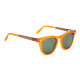iAce Sonnenbrille - Modell 05, hellbraunes Acetate mit brauner Eiche (polarisiert)