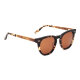 iAce Sonnenbrille - Modell 05, braunes Tortoise-Acetate mit hellbraunem Wurzelholz (polarisiert)